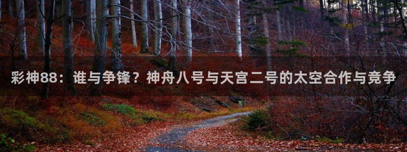 鼎点娱乐能退款吗：彩神88：谁与争锋？神舟八号与天宫二号的太空合作与竞争