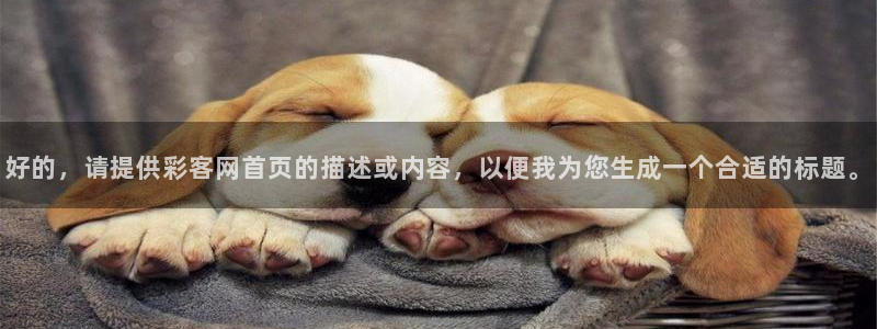 鼎点娱乐强制退款流程详解：好的，请提供彩客网首页的描述或内容，以便我为您生成一个合适的标题。