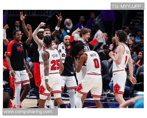 公牛队与奇才队25号对决精彩回顾与赛季展望