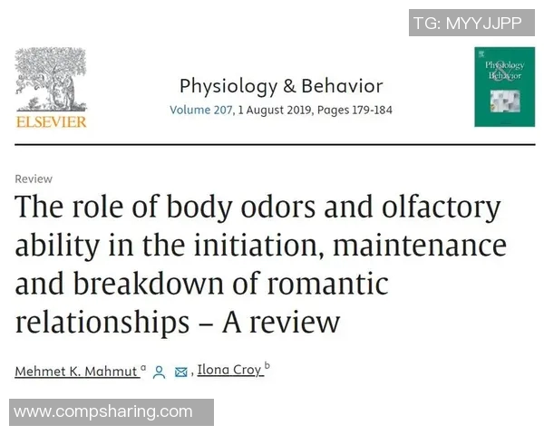 探索拉波尔特的魅力与历史深度,揭示其在文化中的独特地位与影响力