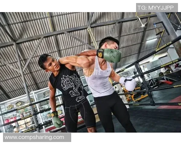 播求与杨建平巅峰对决谁将成为搏击界的新王者