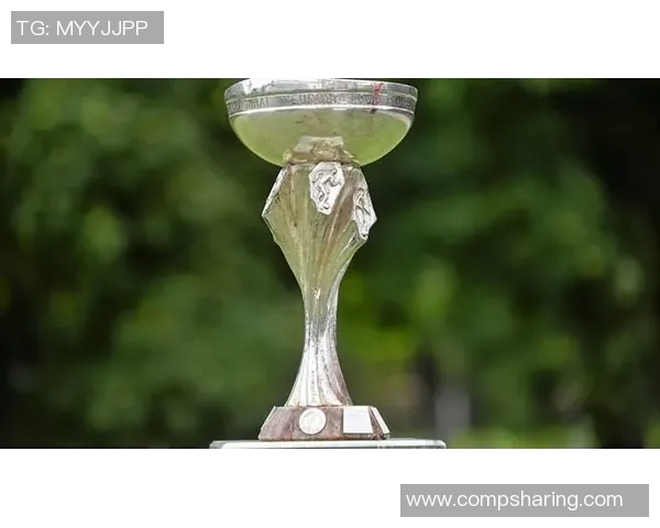 芬兰U19青年队迎战挪威队争夺欧洲足球锦标赛资格