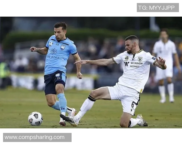 布里斯班对阵墨尔本赛事分析与推荐策略分享 布里斯班对阵墨尔本赛事分析与推荐策略分享