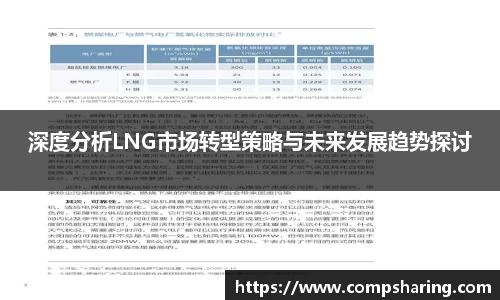深度分析LNG市场转型策略与未来发展趋势探讨