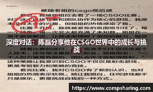 深度对话：陈磊分享他在CSGO世界中的成长与挑战