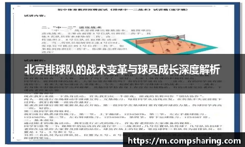 北京排球队的战术变革与球员成长深度解析